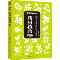 药用植物图鉴 尚云青 主编 著作 生活 文轩网