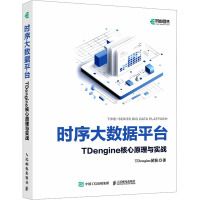 时序大数据平台TDengine核心原理与实战 TDengine团队 著 专业科技 文轩网