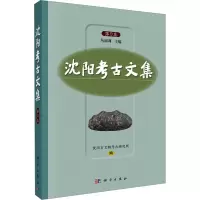 沈阳考古文集 第9集 丛丽莉,沈阳市文物考古研究所 编 社科 文轩网