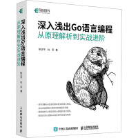 深入浅出Go语言编程 从原理解析到实战进阶 阮正平,杜军 著 专业科技 文轩网