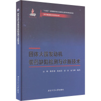 固体火箭发动机装药缺陷检测与诊断技术 高峰 等 编 专业科技 文轩网