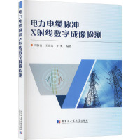 电力电缆脉冲X射线数字成像检测 周静波,王达达,于虹 编 专业科技 文轩网