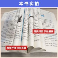 鲁滨逊漂流记 