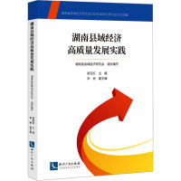 湖南县域经济高质量发展实践 湖南省县域经济研究会 编 经管、励志 文轩网