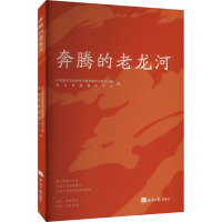 奔腾的老龙河 中共泰兴市党史学习教育领导小组办公室,泰兴市融媒体中心 编 文学 文轩网