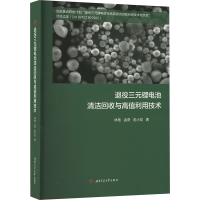 退役三元锂电池清洁回收与高值利用技术 林艳,孟奇,俞小花 著 专业科技 文轩网