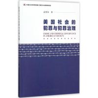 美国社会的犯罪与犯罪治理 高英东 著 社科 文轩网