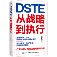 DSTE 从战略到执行 胡红卫 著 经管、励志 文轩网