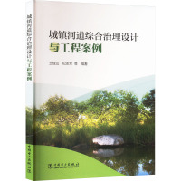 城镇河道综合治理设计与工程案例 王成山 等 编 专业科技 文轩网