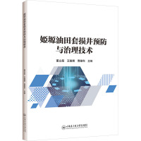 姬塬油田套损井预防与治理技术 董立超,王敏娜,曹雄科 编 专业科技 文轩网