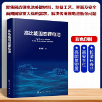 高比能固态锂电池 崔光磊 著 专业科技 文轩网