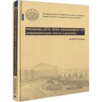 地下洞室(群)的概率风险评价 仉文岗 著 专业科技 文轩网