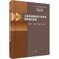 工程扰动围岩压力拱表征及其演化机制 王树仁 等 著 专业科技 文轩网