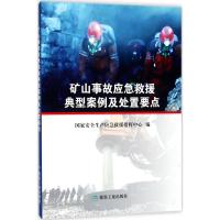 矿山事故应急救援典型案例及处置要点 国家安全生产应急救援指挥中心 编 专业科技 文轩网