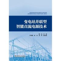 变电站并联型智能直流电源技术 编者:杨兵 著作 专业科技 文轩网