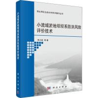 小流域淤地坝坝系防洪风险评价技术 李占斌 等 著 专业科技 文轩网