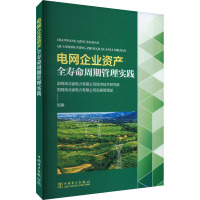 电网企业资产全寿命周期管理实践 国网湖北省电力有限公司经济技术研究院,国网湖北省电力有限公司设备管理部 编 专业科技
