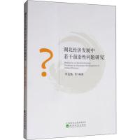 湖北经济发展中若干前沿性问题研究 李克勤 等 著 经管、励志 文轩网