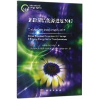 追踪清洁能源进展2017 国际能源署(IEA) 著;北京理工大学能源与环境政策研究中心(CEEP-BIT) 译