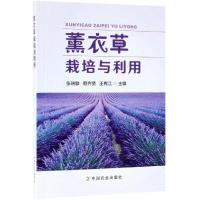 薰衣草栽培与利用 张瑞麟 赖齐贤 王有江 著 专业科技 文轩网