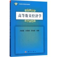 高等数量经济学 刘新建,刘海啸,房俊峰 编著 著 大中专 文轩网