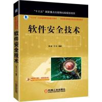 软件安全技术 陈波,于泠 著 大中专 文轩网