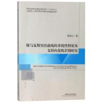 煤与瓦斯突出前兆的非线性特征及支持向量机识别研究/陈祖云 陈祖云 著 大中专 文轩网