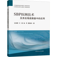 SBP探测技术及其在海底勘查中的应用 史建青 等 著 大中专 文轩网