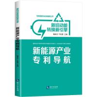 新旧动能转换新引擎 新能源产业专利导航 魏保志 于智勇 著 魏保志,于智勇 编 经管、励志 文轩网