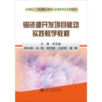 铜资源开发项目驱动实践教学教程 吴彩斌 编 大中专 文轩网