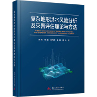 复杂地形洪水风险分析及灾害评估理论与方法 刘懿 等 著 生活 文轩网