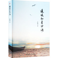 遥远的青沙滩 吴振华 著 文学 文轩网