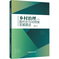 乡村治理现代化与可持续发展路径 高佳红 著 经管、励志 文轩网