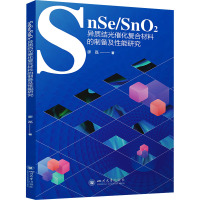 SnSe/SnO2异质结光催化复合材料的制备及性能研究 廖磊 著 专业科技 文轩网