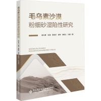 毛乌素沙漠粉细砂湿陷性研究 侯大勇 等 著 大中专 文轩网