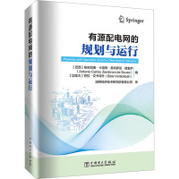 有源配电网的规划与运行