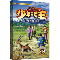 可可西里卫士 彭绪洛 著 少儿 文轩网