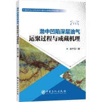 渤中凹陷深层油气运聚过程与成藏机理 赵子龙 著 专业科技 文轩网