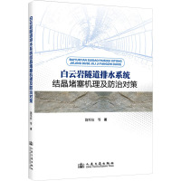 白云岩隧道排水系统结晶堵塞机理及防治对策 饶军应 等 著 专业科技 文轩网