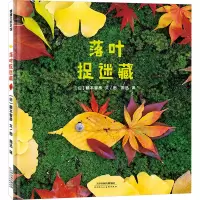 落叶捉迷藏 (日)藤本智彦 著 周迅 译 少儿 文轩网