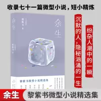 余生 (马来)黎紫书 著 文学 文轩网