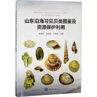 山东沿海习见贝类图鉴及资源保护利用 宋爱环,吴莹莹,王英俊 编 专业科技 文轩网