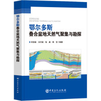 鄂尔多斯叠合盆地天然气聚集与勘探 何发岐 等 编 专业科技 文轩网