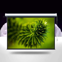 红金叶 60寸 4:3 电动幕布 红金叶 60寸 4:3 电动幕布