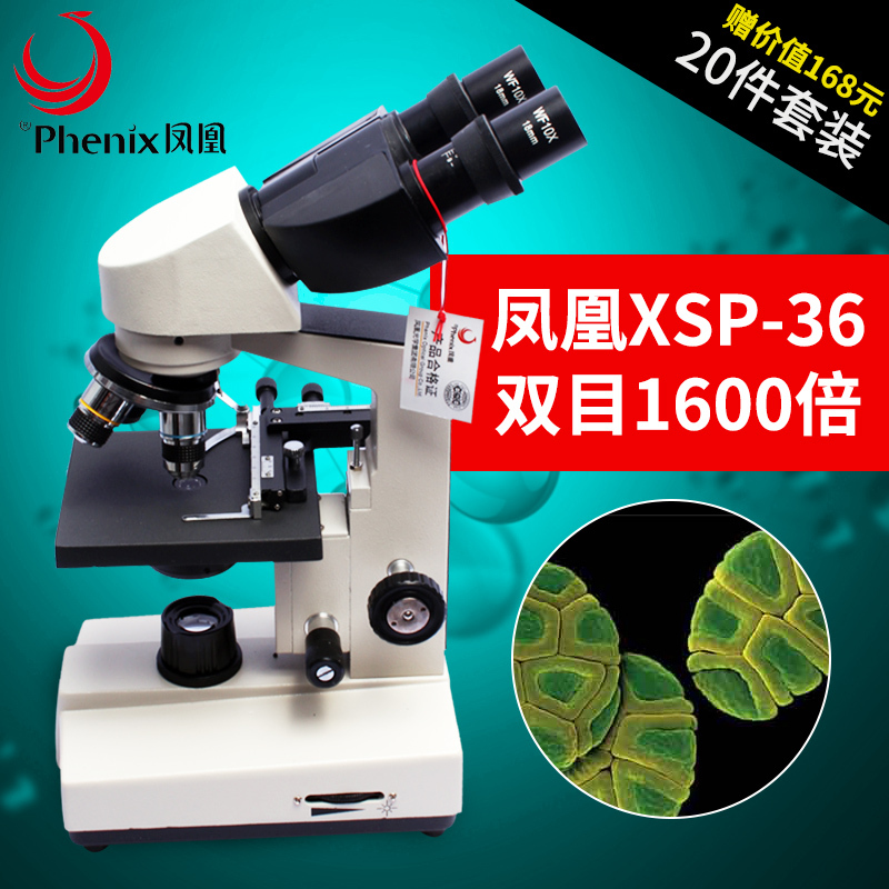 凤凰（Phenix） 生物显微镜专业 双目XSP-36 1600高倍 学生家用养殖