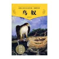 动物小说大王沈石溪品藏书系：鸟奴