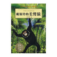 动物小说大王沈石溪·品藏书系：戴银铃的长臂猿