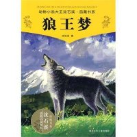 动物小说大王沈石溪品藏书系：狼王梦