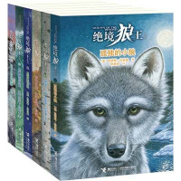 绝境狼王系列（全4册）
