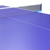 红双喜DHS 乒乓球台家用/比赛 防水耐磨标准球桌 折叠乒乓球桌
